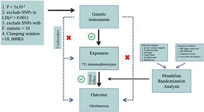 Causal effects of immune cells in glioblastoma: a Bayesian Mendelian Randomization study